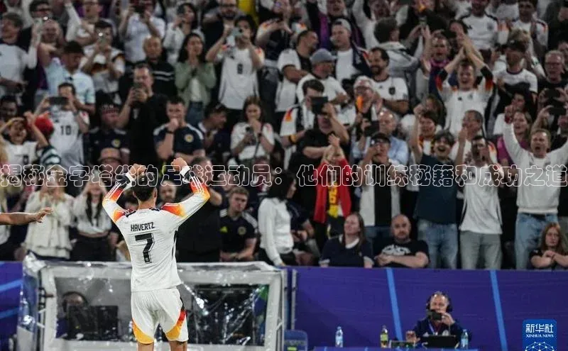 门徒娱乐百度翻译App揭秘金字塔尖的足球运动员：他们的训练秘籍和成功之道