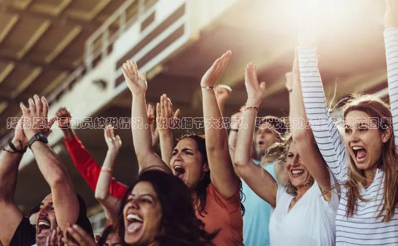 门徒拉菲9注册链接视觉中国揭秘足球运动员纳税情况，税收细节大揭秘，曝光运动员纳税规范图表