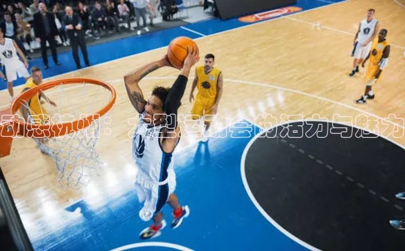 门徒平台登录入口官网注册中文在线动感杭州：大型运动会的活力与魅力