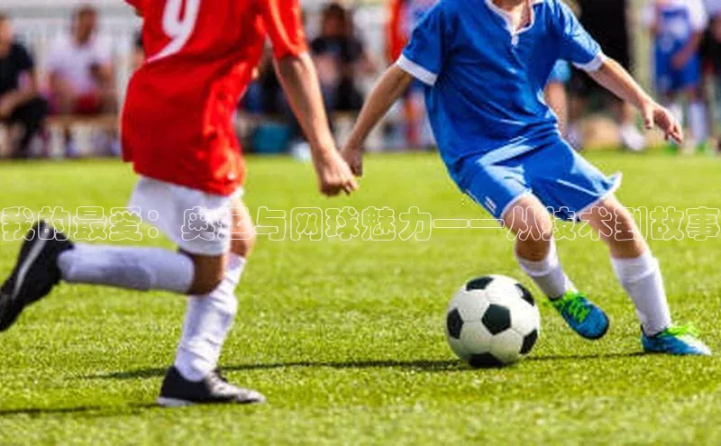 门徒娱乐百家号我的最爱：奥运与网球魅力——从技术到故事