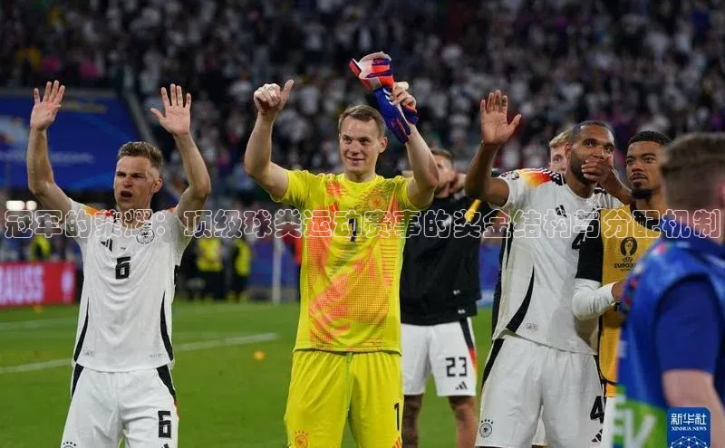 冠军的荣耀：顶级球类运动赛事的奖金结构与分配机制