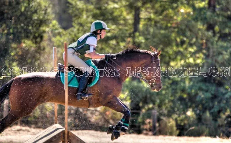 全球顶级运动赛事排行榜：顶尖竞技的力量与荣耀