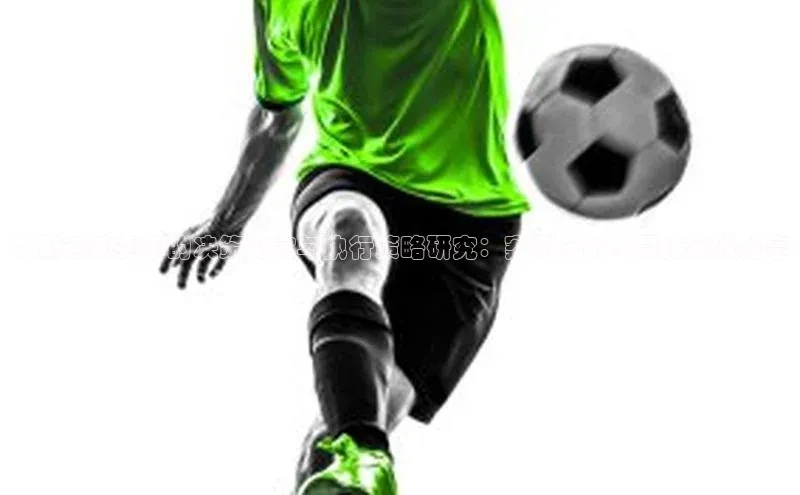 大型运动赛事的决策制定与执行策略研究：案例分析与最佳实践分享