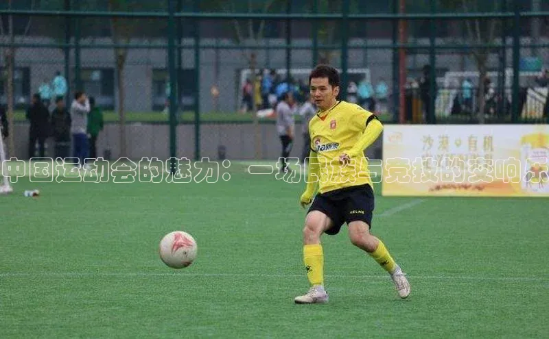 中国运动会的魅力：一场民族与竞技的交响乐
