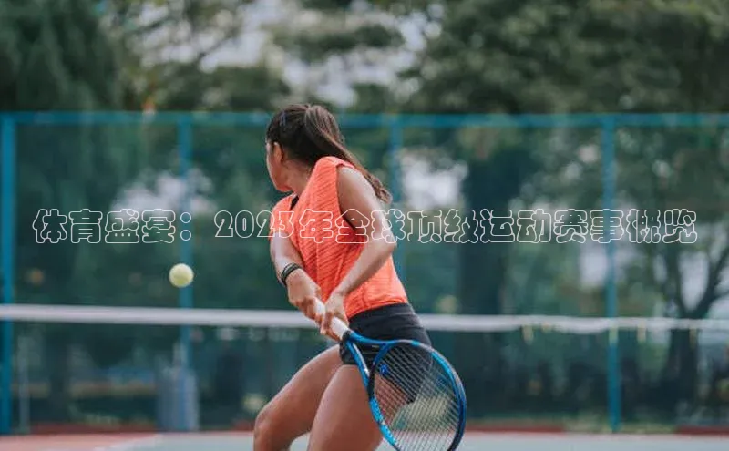 体育盛宴：2023年全球顶级运动赛事概览