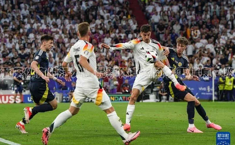 重庆体育的活力：最新体育运动赛事信息一览