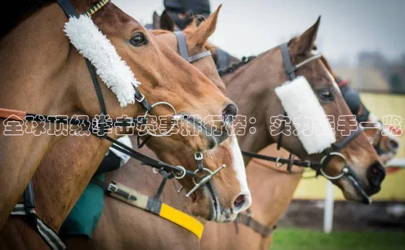 全球顶级拳击赛事排行榜：实力强手一览