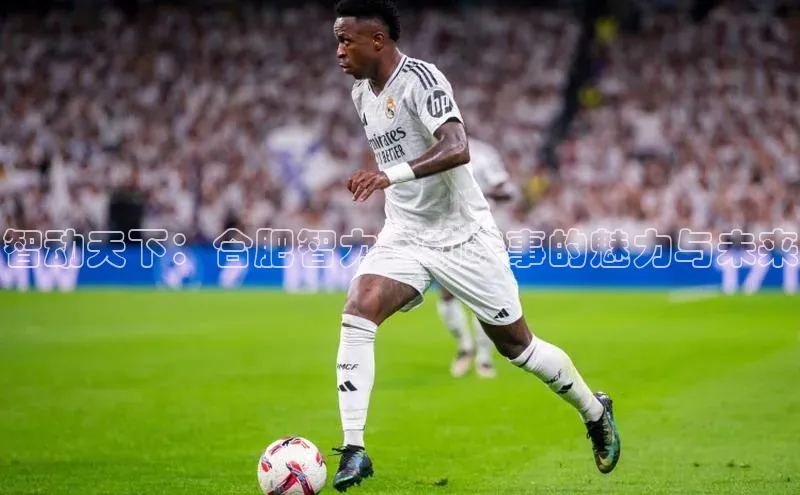 智动天下：合肥智力运动赛事的魅力与未来