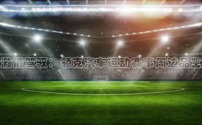 激情驾驭：领克汽车运动赛事周边品鉴