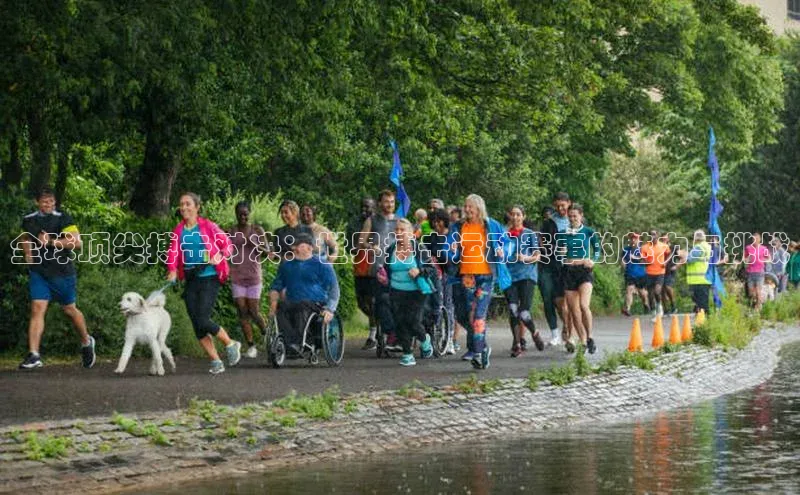 全球顶尖搏击对决：世界搏击运动赛事的魅力与挑战