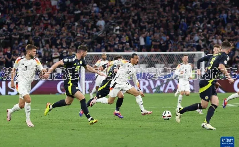 精粹体育盛事：顶级运动赛事背后的故事