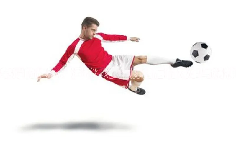 荣耀的旅程：运动赛事金牌背后的故事与精神