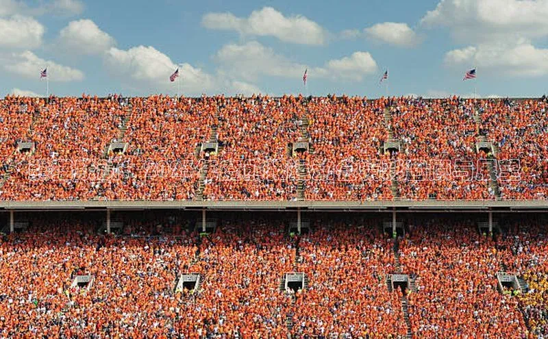 熊猫跃动：2023年度熊猫运动会精彩回顾与展望